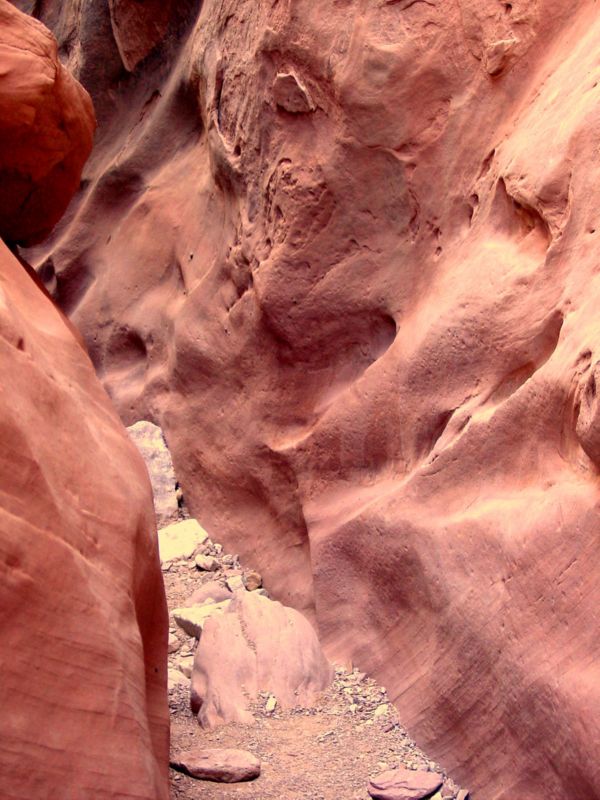 04160302LittleWildHorse (1050)